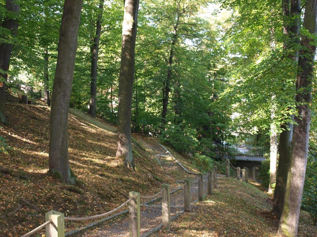 Hotel Saechsisches Haus Berggiesshübel Zewnętrze zdjęcie