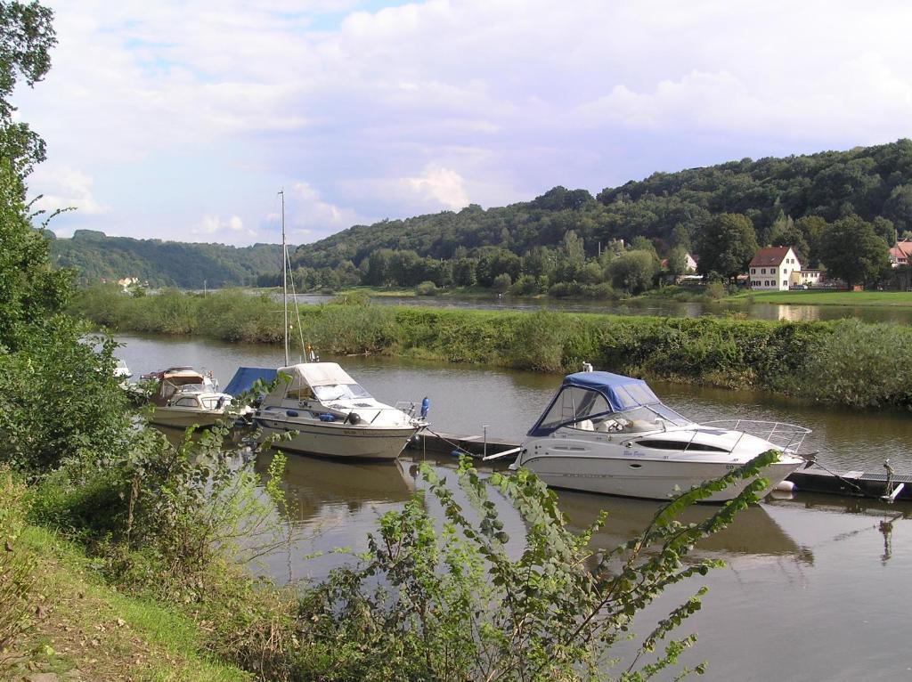 Hotel Saechsisches Haus Berggiesshübel Zewnętrze zdjęcie